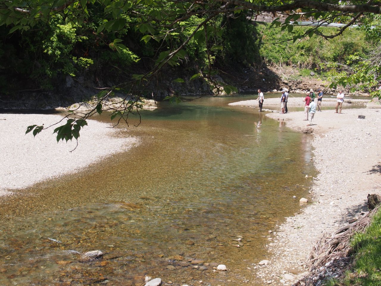 P5174170_mini_1280.jpg