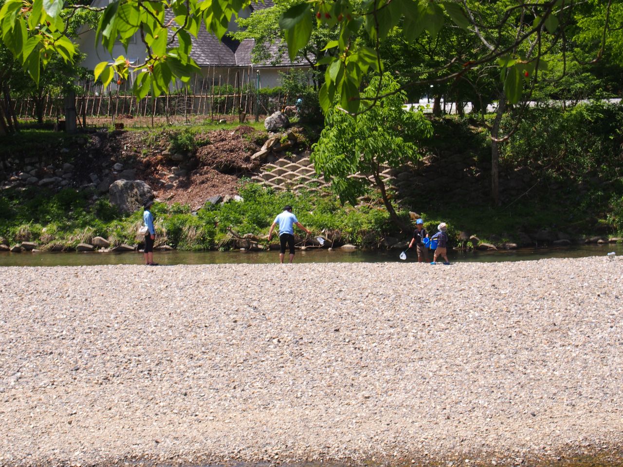 P5174178_mini_1280.jpg