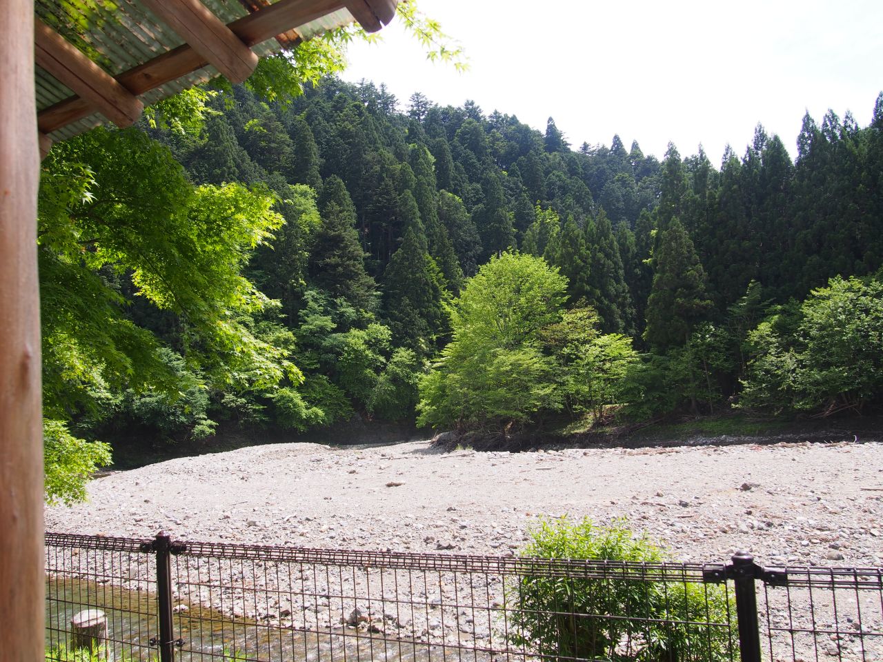 P5174222_mini_1280.jpg