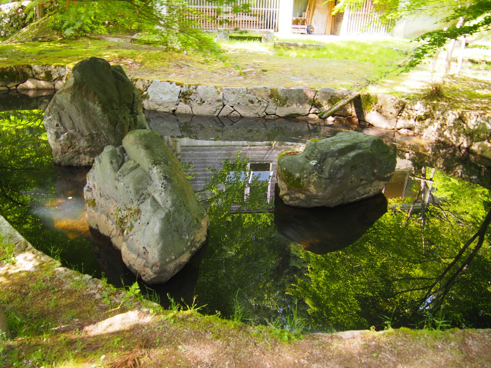 P5174289_mini_1600.jpg
