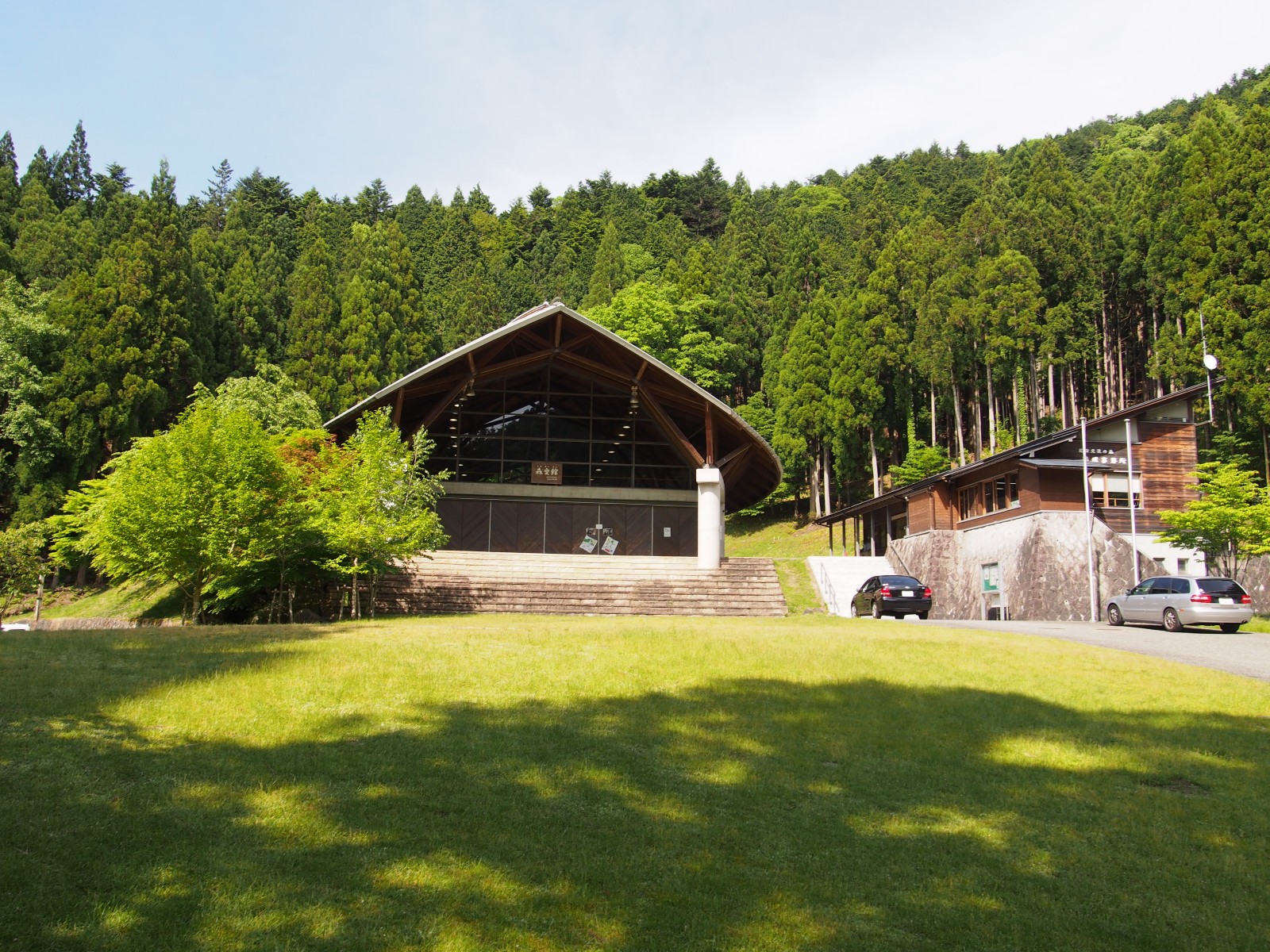 P5174291_mini_1600.jpg