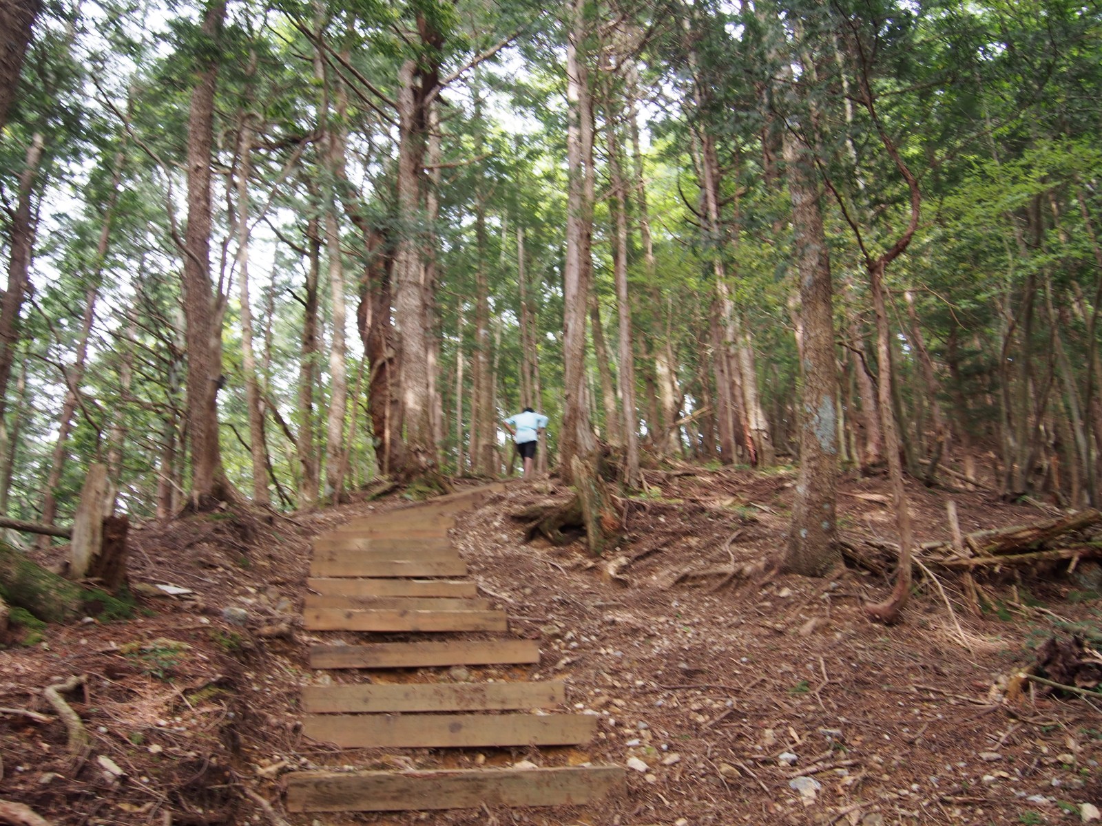 P5174294_mini_1600.jpg