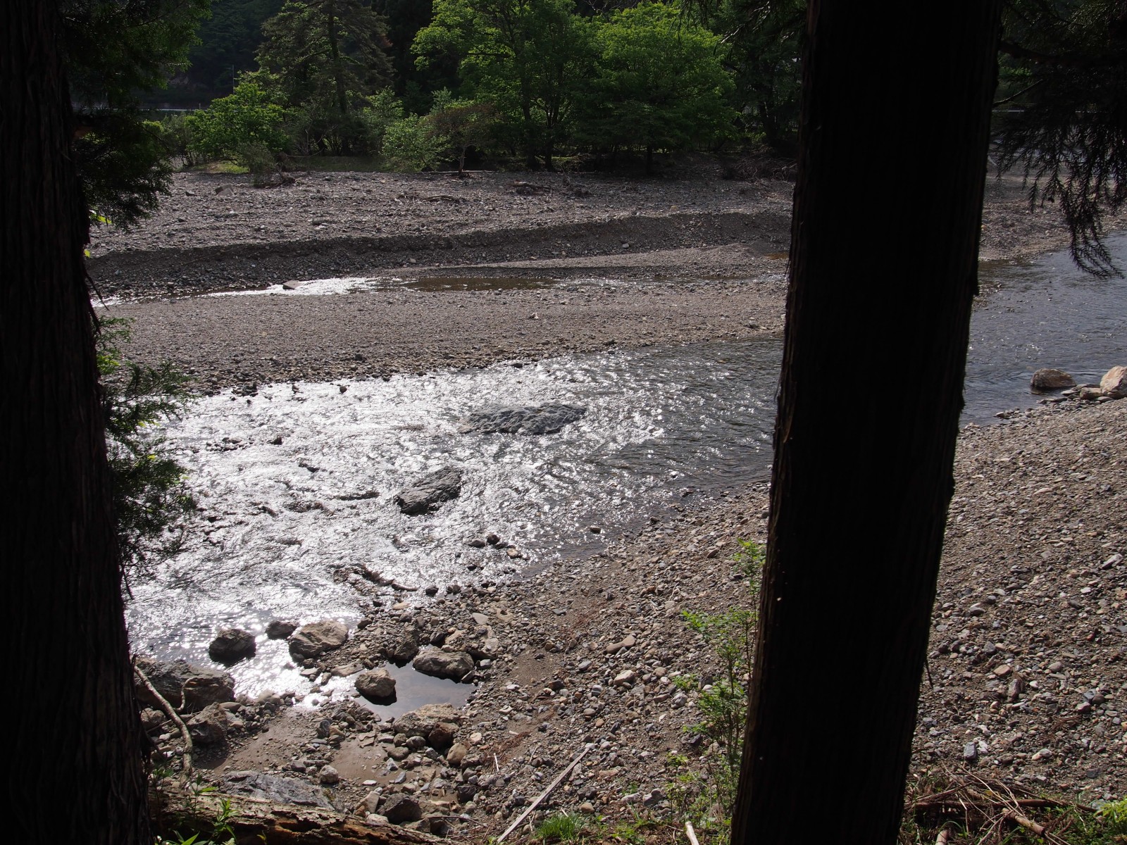 P5174315_mini_1600.jpg