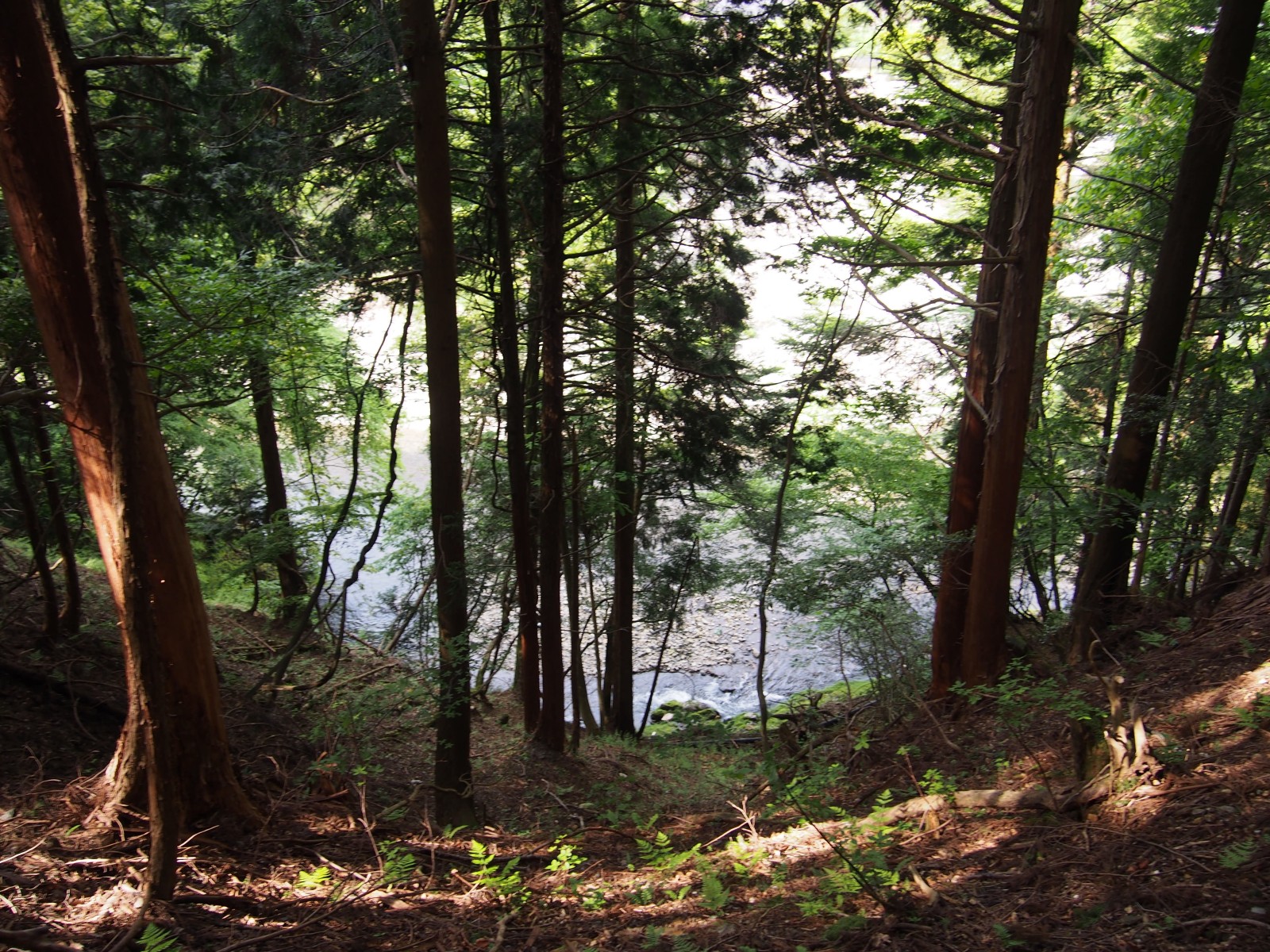 P5174319_mini_1600.jpg