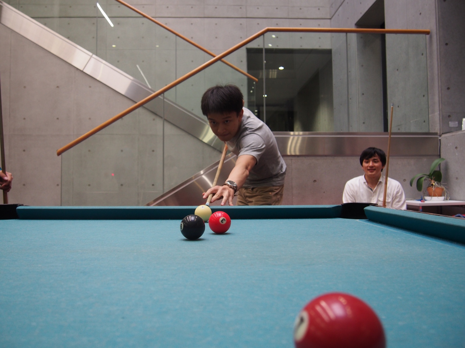 P6054615_1600.jpg