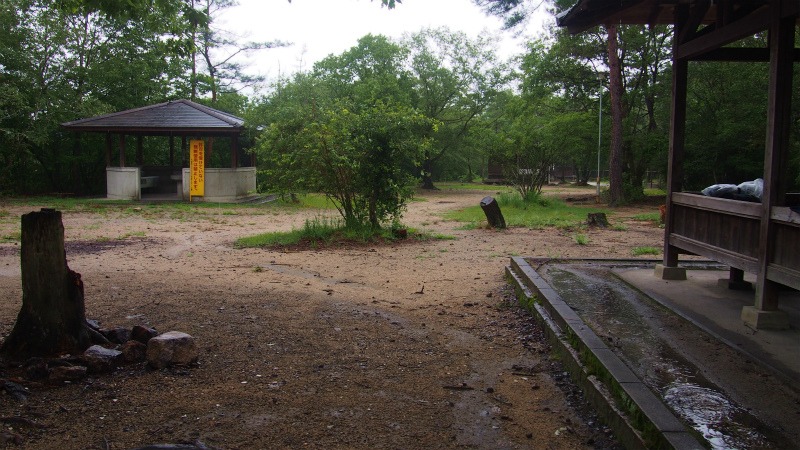 P9034687.jpg