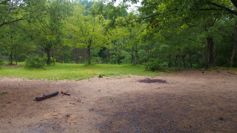 P9034691.jpg