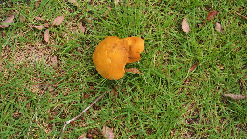 P9044804.jpg